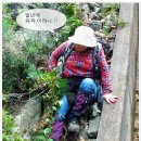 심마니 이미지
