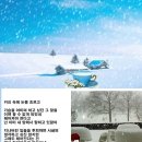 커피속