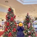 홍보석(부산점) 이미지