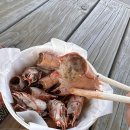 여기고씨네