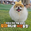 강아지 모자 여름 썬캡 캡모자 아소비진vs 어리를빅