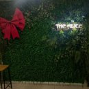 앨리스 | [세종] 디앨리스 후기｜46층 시티뷰 레스토랑, 기념일 데이트 솔직 리뷰(내돈내산)