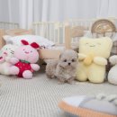 마마스미독 강아지분양 인천점 | 역변 없는 강아지, 후기 좋은 인천애견분양 마마스미독