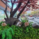 농가 | 부산 전포 _ 서면 감성 카페 도시농가코페도코 아이랑 내돈내산 후기