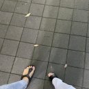 김돈이송천점 이미지