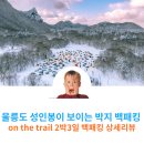 나리분지 버스정류장 | OnTheTrail OTT 오티티 윈터 울릉도 백패킹 2,3일차 알봉 트레킹 및 캠핑 즐기기