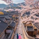 제원어린이공원 | 4월 경상북도 벚꽃 여행 1박2일 코스, 경주·포항 봄꽃 명소 총정리