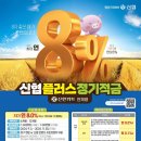 연플러스 이미지