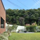 스테이 마당 이미지