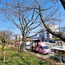 낙동강 벚꽃축제 푸드존 이미지