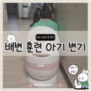 디딤어린이집 | [내돈내산] 4살 아이 배변 훈련 1년간의 리얼 경험담!🧻두리 아기 변기 후기!🚽