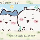 혹시라도 네가 상처를 받고~ 마음이 꺾일~듯 약해졌을때~ 이미지