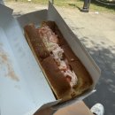 달콩마켓 | 결혼식 끝, 행복한 신혼시작🕊️ 신혼여행 뉴욕 Day 1