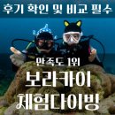 보라카이 자유여행 액티비티 블루핀 다이브 스킨스쿠버 체험 후기