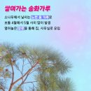 원솔루션 이미지