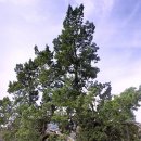 종로-종로-종로-종-314 이미지