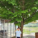 홍천강그린팬션 | 강원도 홍천 보또피아 내돈으로 다녀온 찐후기