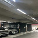 더아이티 | 대전속눈썹펌 추천 아이러뷰티 후기, 삼성동 속눈썹펌 잘하는 곳