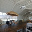 메타(META)1976 이미지