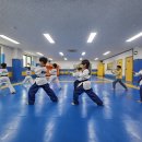 엘림 태권도 이미지