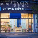 닥터에이스 동물병원 이미지