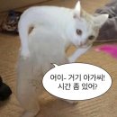 거기 시간 많아? 아껴 써