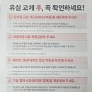 SKT USIM 교체 후기 - 대기 시간, 준비 사항, 교체 후 유의사항