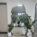 동래실내테니스장 이미지