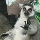 미르유도관 이미지