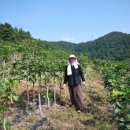 계심헌 공예 미술관 이미지