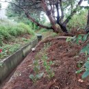 솔잎목장 이미지