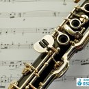 클라리넷 집중레슨 이미지