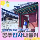 봄맞이 계룡산국립공원 갑사 나들이