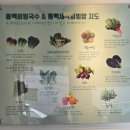 세븐일레븐울산신정평화점 | 울산 남구 국수 대공원 근처 아이랑 들려본 동백국수집