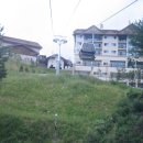 H7304 Daum카페