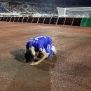 수원-2003 이미지