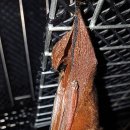 울산광역시 야생동물구조센터 이미지