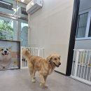 딩동댕 살롱 이미지