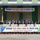 금만시장 이미지