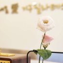 내몸애필라테스 네이버블로그