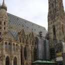 케익하우스모짜르트 이미지