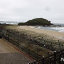 (주)평화지대 이미지
