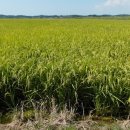 현대농장 이미지