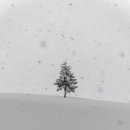 천금부동산공인중개사사무소 이미지