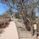 곡성-160 | 인왕산, 북악산 한양도성길(1월 31일)