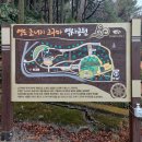영도자동차학원