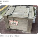 나는 아직 4월이라고 4월에 머물러잇다고,,,,