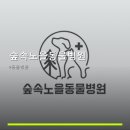 숲속노을 동물병원 네이버블로그