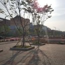 하길고등학교 이미지