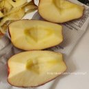3일차 : 제수 누오보 성당, Gino e Toto Sorbillo 지노 소르빌로, Cafe Diaz 나폴리 카페, Grangusto...